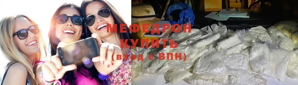 сатива Ельня
