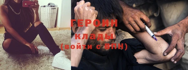 сатива Ельня
