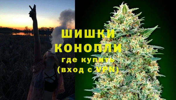 мяу мяу мука Елабуга