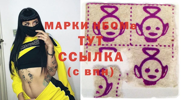 сатива Ельня