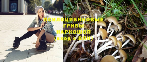 сатива Ельня