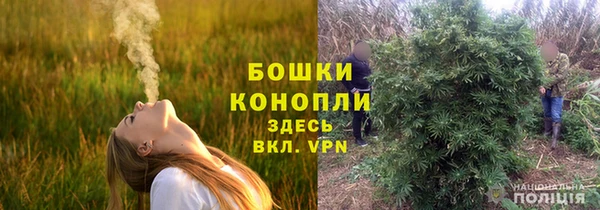 сатива Ельня