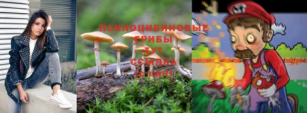 сатива Ельня