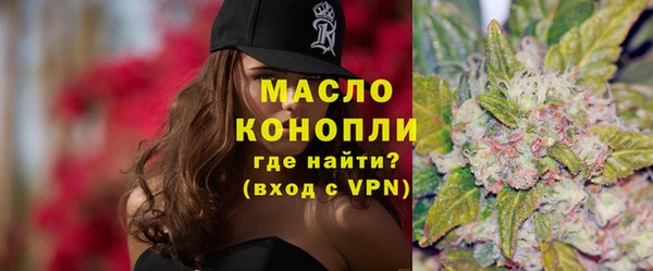 сатива Ельня
