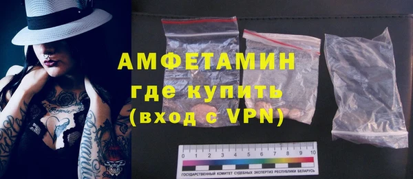 сатива Ельня