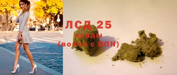 сатива Ельня