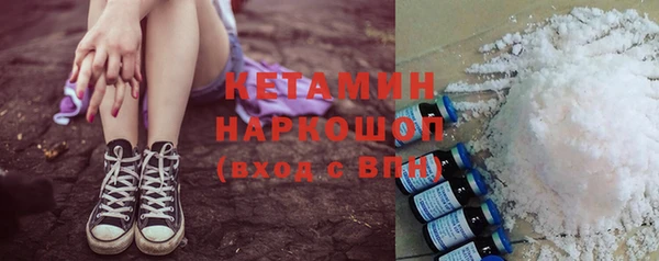 сатива Ельня