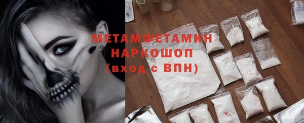сатива Ельня
