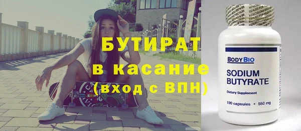 сатива Ельня